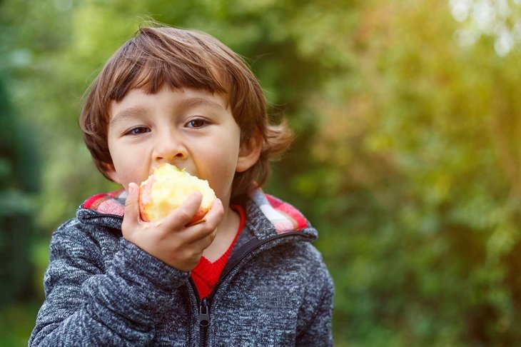 Child kid eating apple fruit outdoor autumn fall nature healthy outdoors