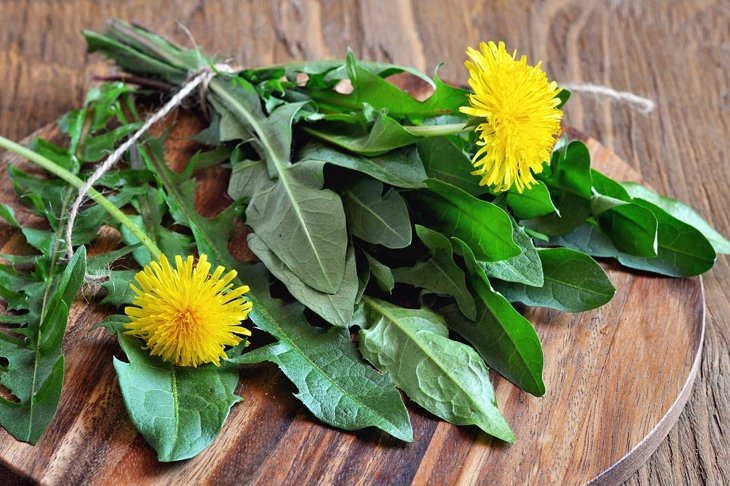 Dandelions leaves on a table